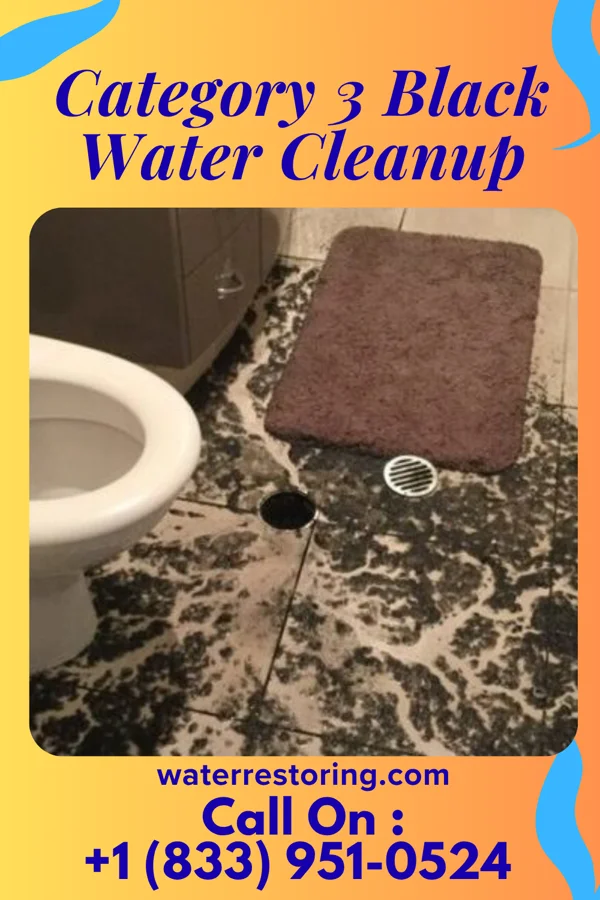 Category 3 Black Water Cleanup in Morral, OH