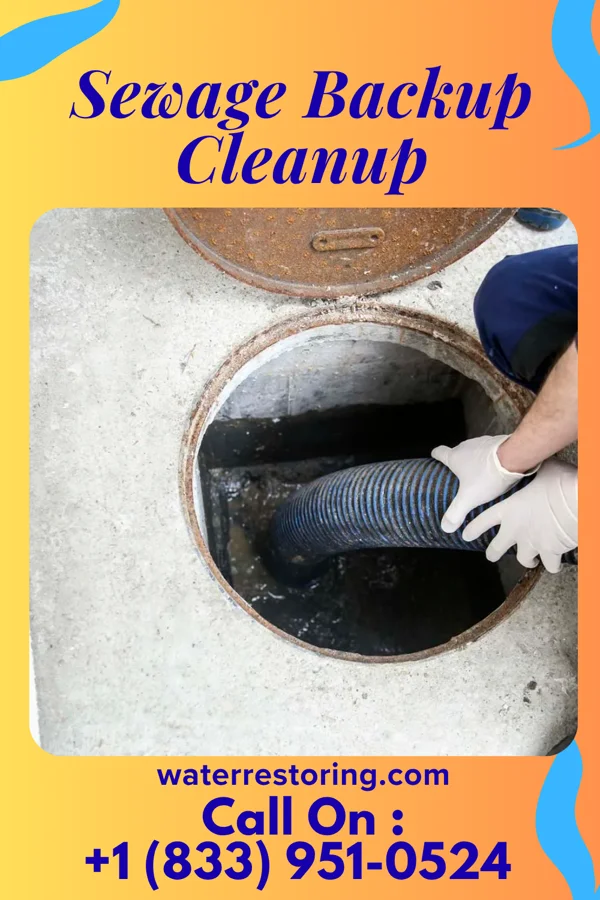 Sewage Backup Cleanup in Morral, OH