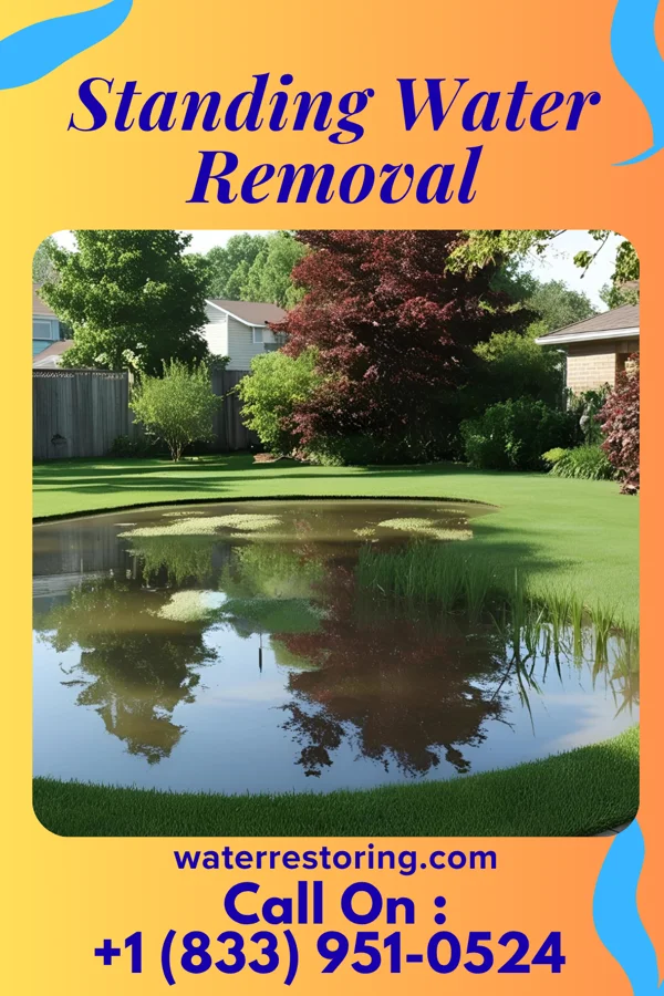 Standing Water Removal in Morral, OH